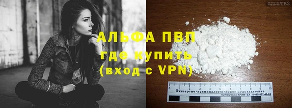 ПСИЛОЦИБИНОВЫЕ ГРИБЫ Краснослободск
