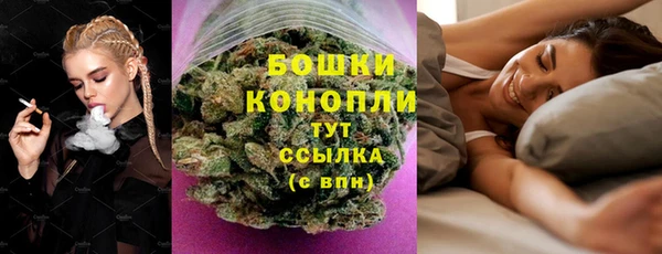 ПСИЛОЦИБИНОВЫЕ ГРИБЫ Краснослободск