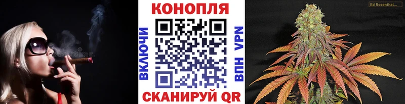 Купить где  Артёмовский  Канабис марихуана 